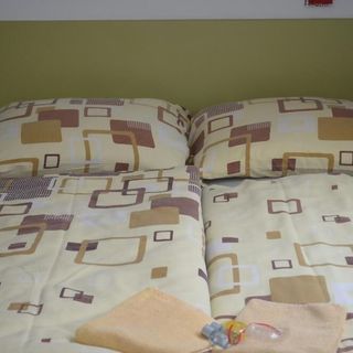 Penzion U Žabáka Mikulov (3)