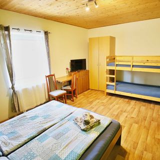 Penzion U Vinice Sedlec (4)