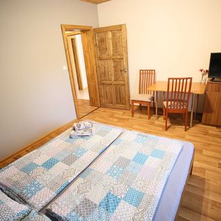 Penzion U Vinice Sedlec (5)