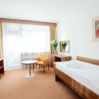 Lázeňský hotel Diamant Dudince (4)