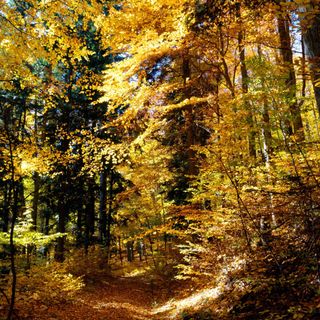 Lázeňský dům Komporday Štós (5)