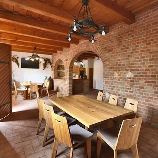 Apartmány Šoman Dolní Dunajovice (5)