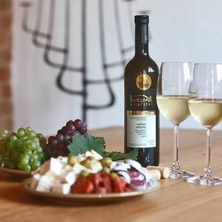 Apartmány Šoman Dolní Dunajovice (4)