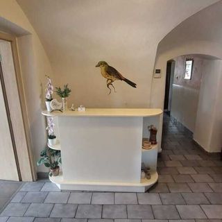 Penzion a restaurace U Strnada Klatovy (4)