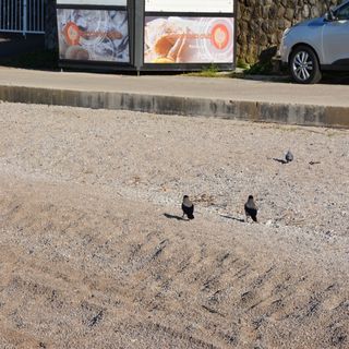 Apartment Fister Njivice (5)