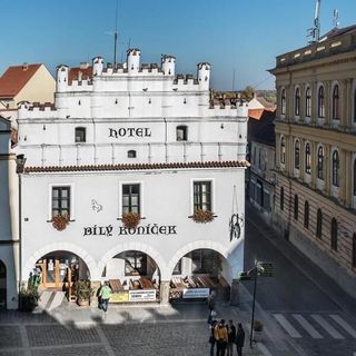 Hotel Bílý Koníček Třeboň (3)