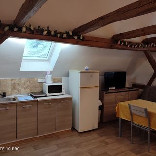 Penzion Těchlovice Stříbro (5)