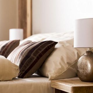 Penzion V Zálesí Čistá (5)