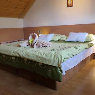 Rekreačný dom Strečno (4)