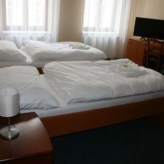 Lázeňský dům Florentini Teplice (4)