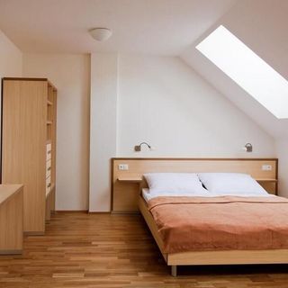 Davidův mlýn Staré Těchanovice (5)