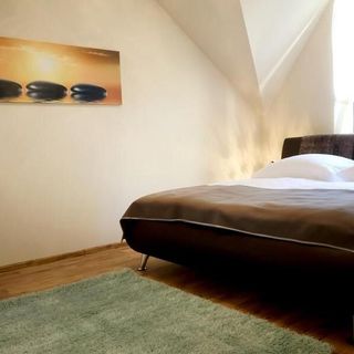 Apartments Menuet Karlovy Vary (3)