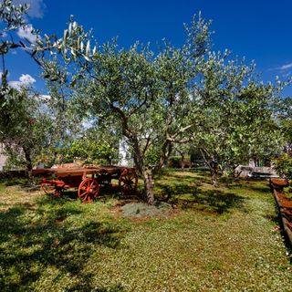 Apartments Karabaic Njivice Krk (5)