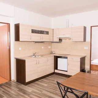 Aparthotel Na Staré koleji Benátky nad Jizerou (4)