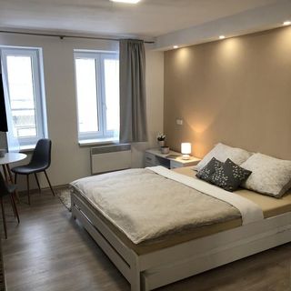 Apartmán U Zlaté hroudy Zlaté Hory (5)