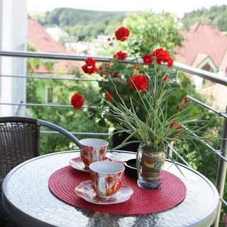 Dům Tamara Luhačovice (5)