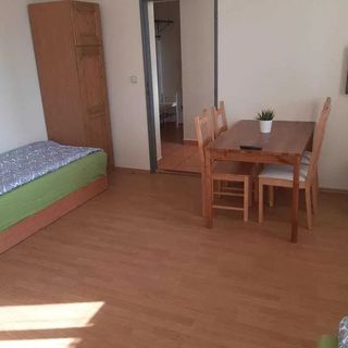 Penzion V Zatáčce Plzeň (4)