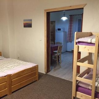 Apartmán Za Řekou Mladé Buky (5)