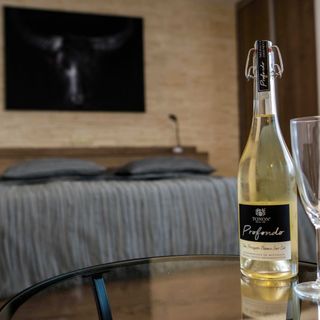 Ubytování Stračena Ostrava (5)