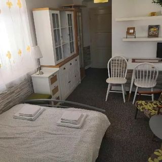 ABC Apartments Černá v Pošumaví (5)