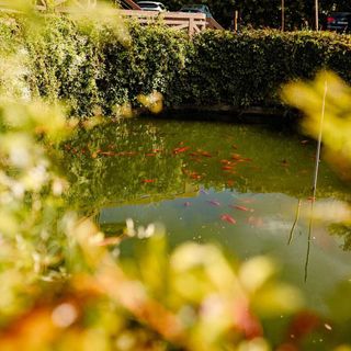 Luční penzion Česká Skalice (4)