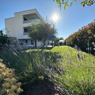 Apartments Bella Lux Malinska Krk (2)