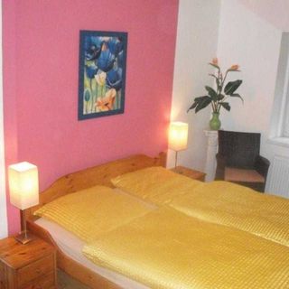 Villa Anton Karlovy Vary (4)