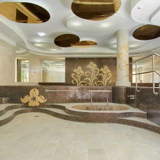 Spa Hotel IRIS Karlovy Vary (5)