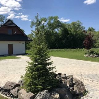 Villa Detvan Stará Lesná (5)