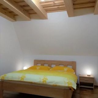 Rekreačný domček Fraxinus Liptovská Sielnica (4)