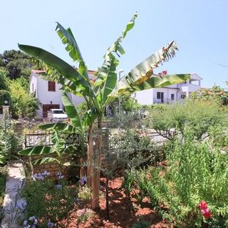 Apartment Valens Poreč (4)