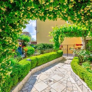 Apartman Ciro Selce (4)