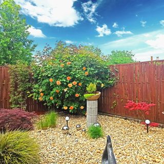 Conny Apartman Tiszavasvári (5)