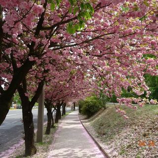 Csöndör Apartman Zalakaros (2)
