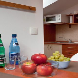 Apartament City Center Studio DeLuxe Krynica-Zdrój (3)