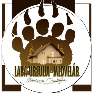 Pensiunea Laba Ursului Sovata (2)