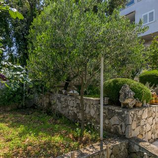 Apartments Božo Kanica (5)