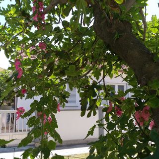 Apartment Barbara Sabunike (5)