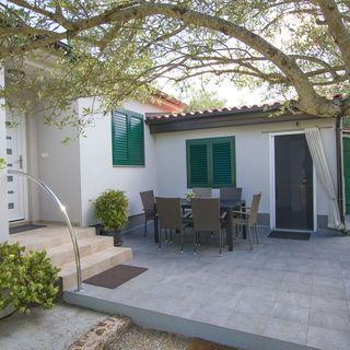 House Pansy Pasman (5)