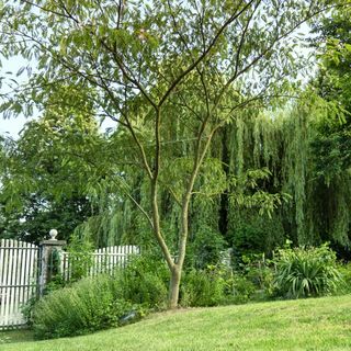 Tiszta Forrás Ház Pécsely (3)