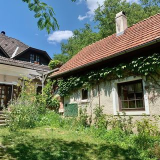 Tiszta Forrás Ház Pécsely (4)