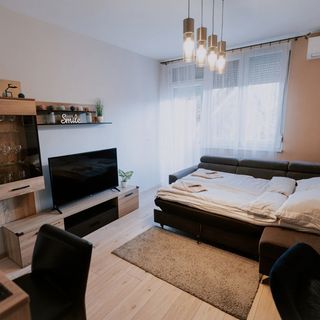 Viva Apartman Makó (3)