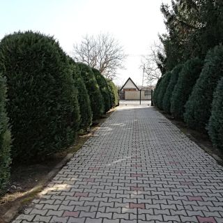 Márti Vendégház Badacsonyörs (3)