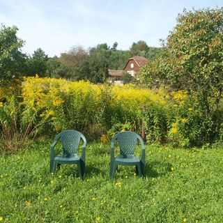 Rózsa Ház Csernely (4)