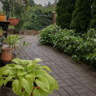 Kügi Apartman Balatonalmádi (4)