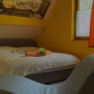 Sarolta Apartman Lovas (2)