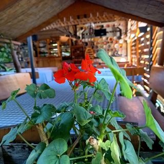 Fezőr Panzió Körmend (4)