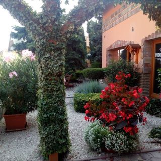 Chloe Apartman Szigetvár (4)