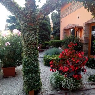 Chloe Apartman Szigetvár (4)