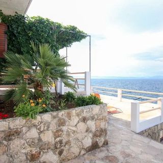 Robinson House Delphinus Virak (2)